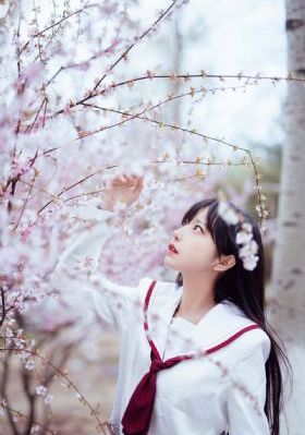 精品少妇一区二区三区四区五区_1080P全集在线观看